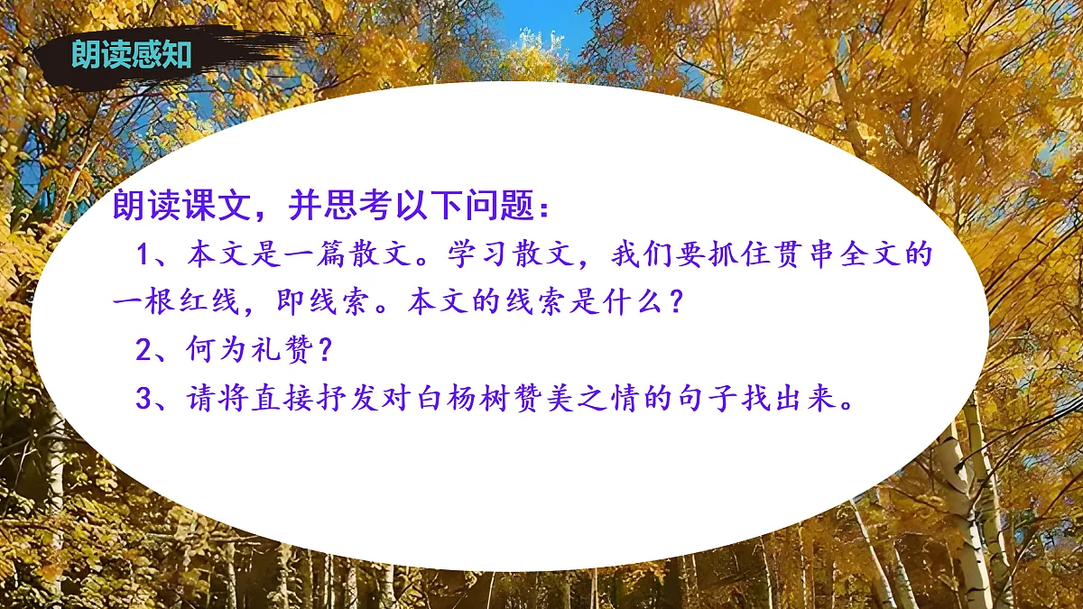 17403227第6页