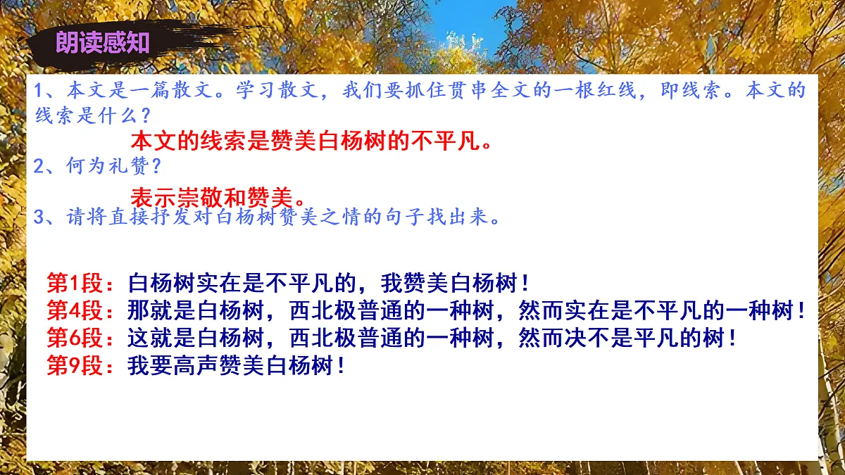 17403227第7页