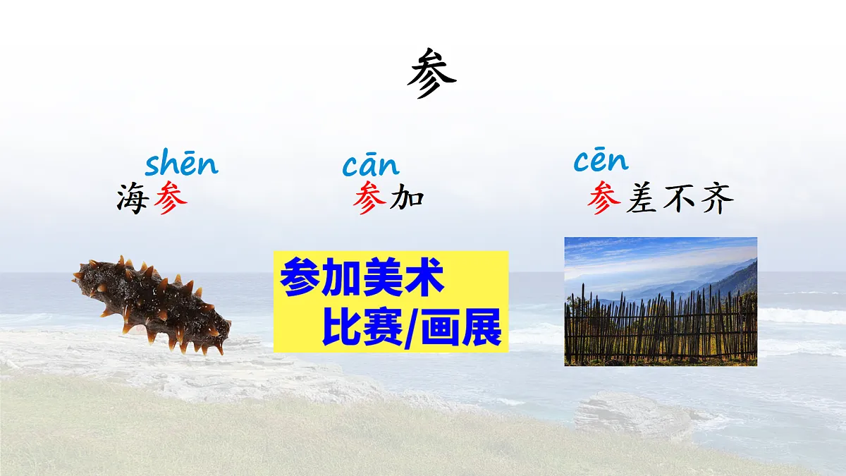 17403281第3页