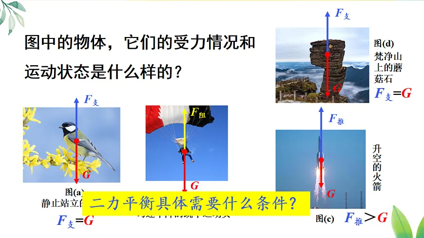 17403401第6页