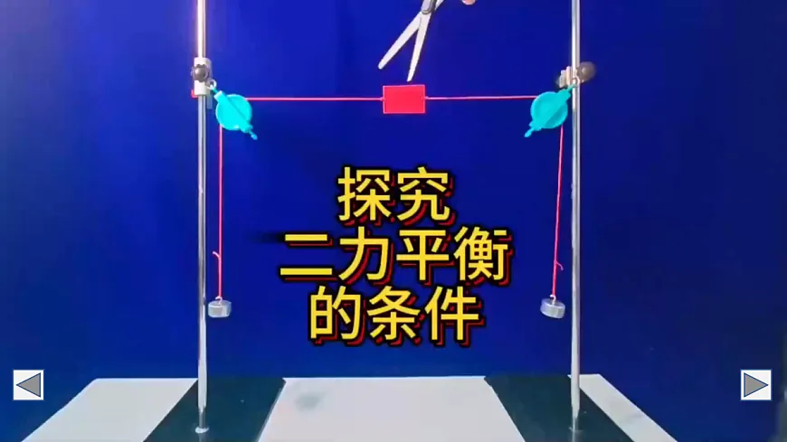 17403401第8页