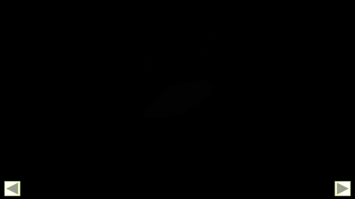 17404468第3页