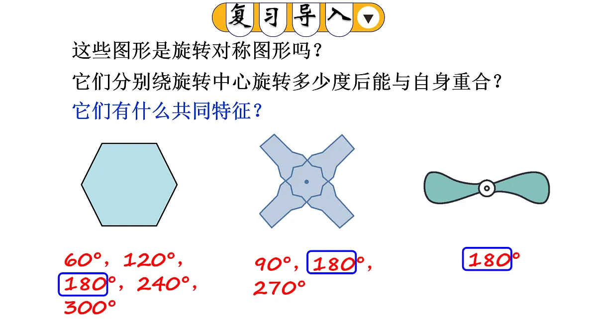 17404469第3页