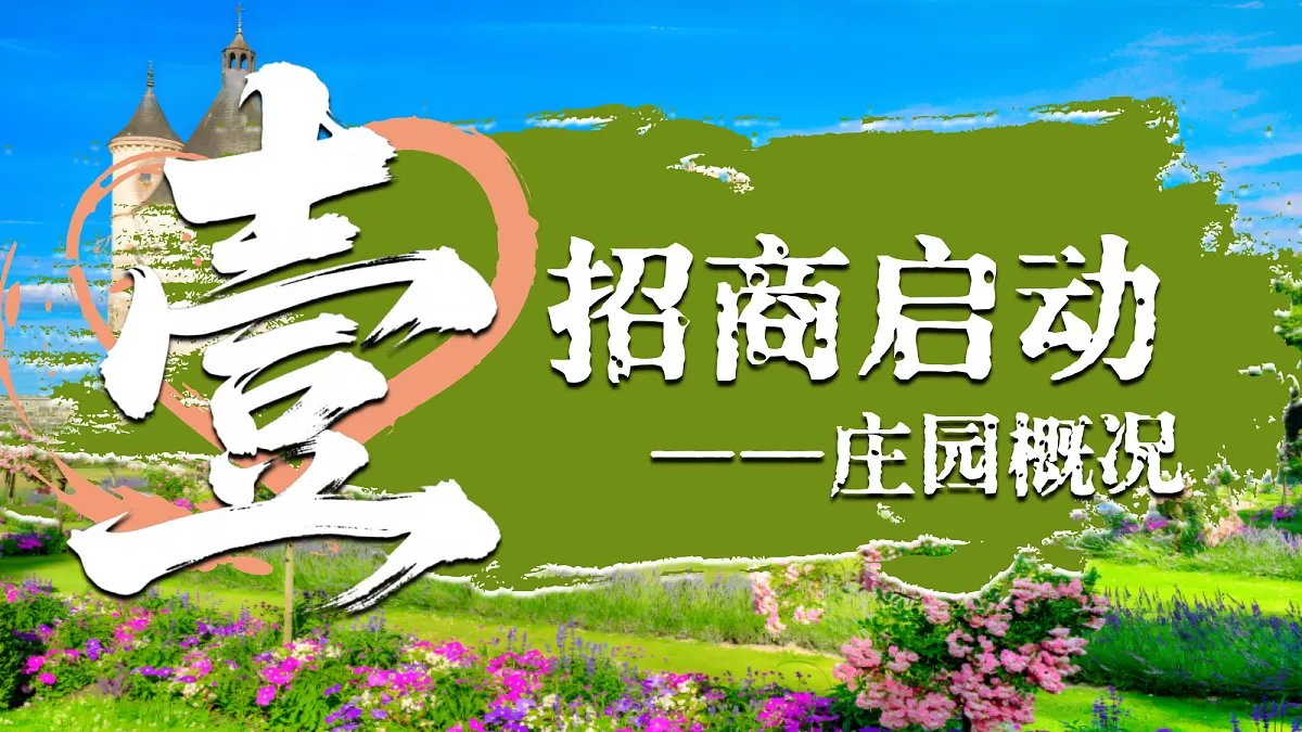 17404658第3页