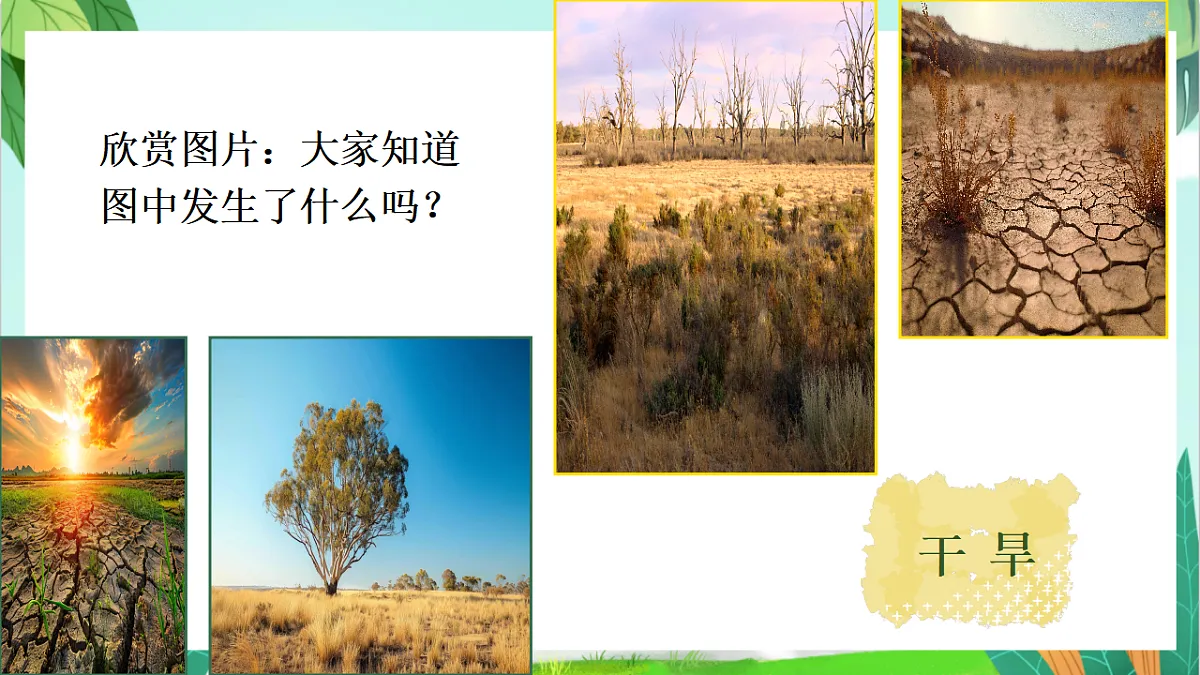 17404683第2页