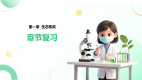 人教版（2024）八年级上册（2024）第一章 生态系统复习课件ppt