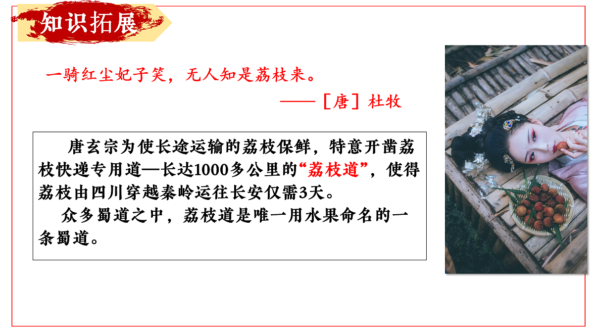 17406095第4页