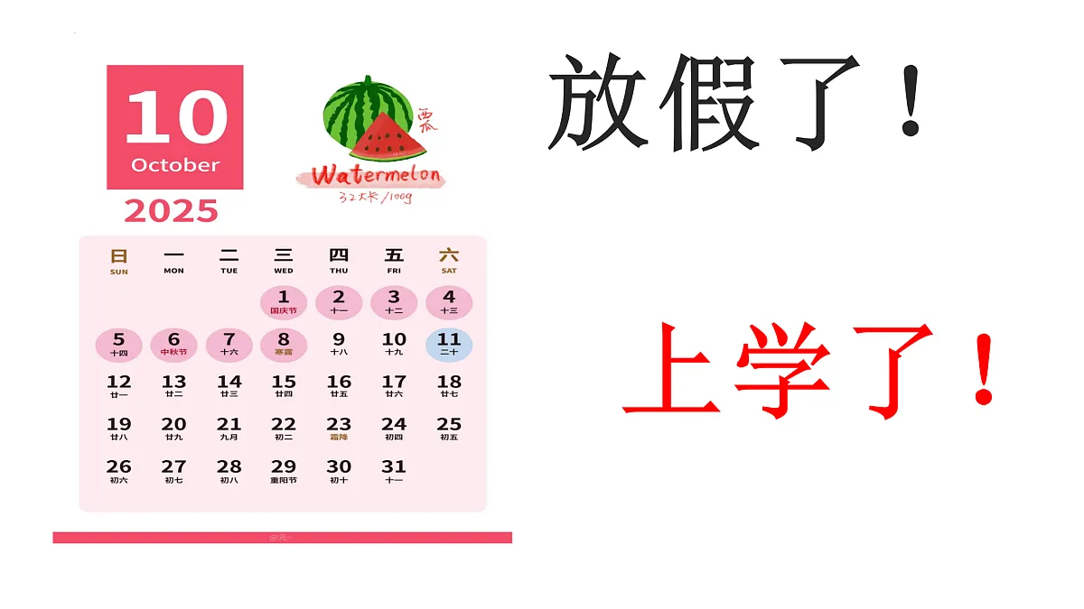 17406292第5页