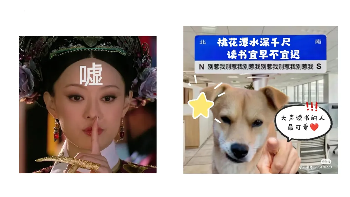 17406292第6页