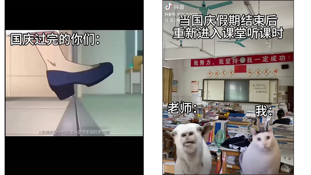 17406292第7页