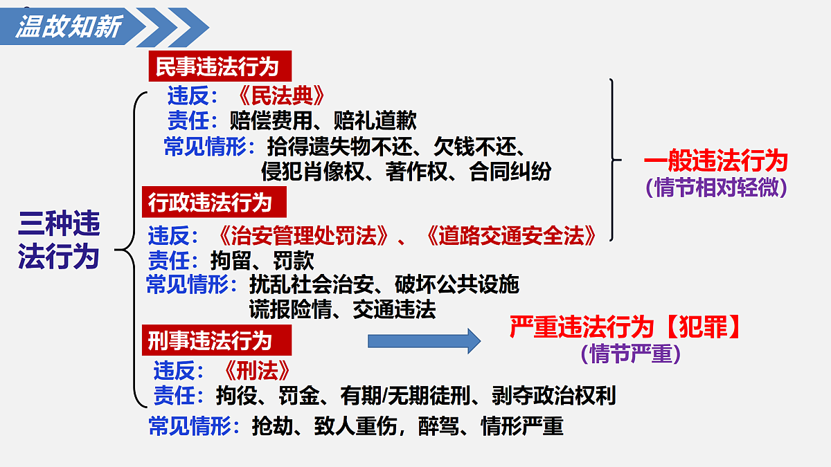 17406644第3页