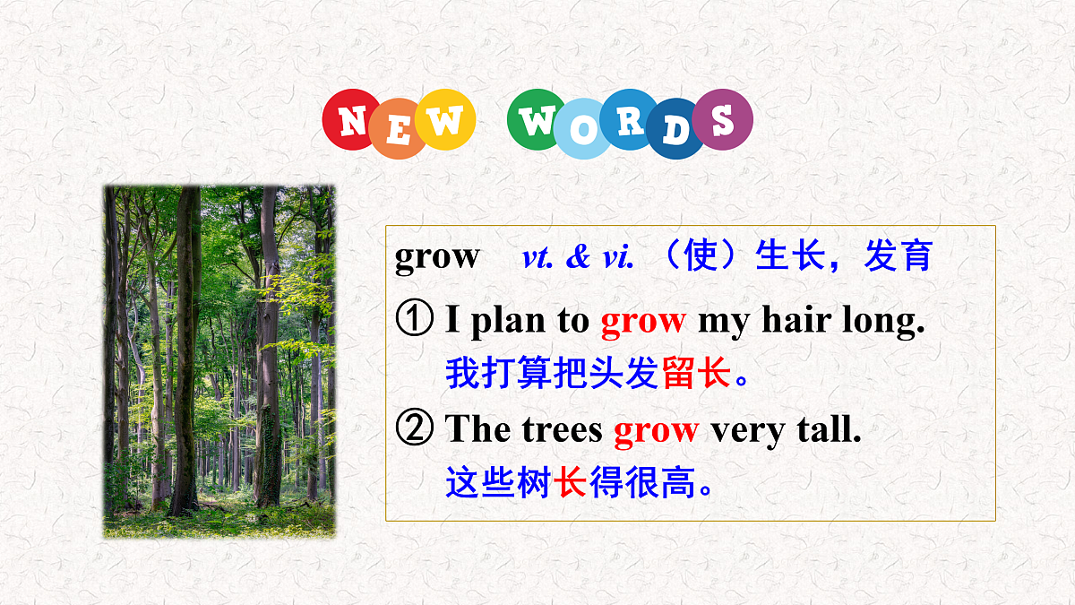 17407834第2页