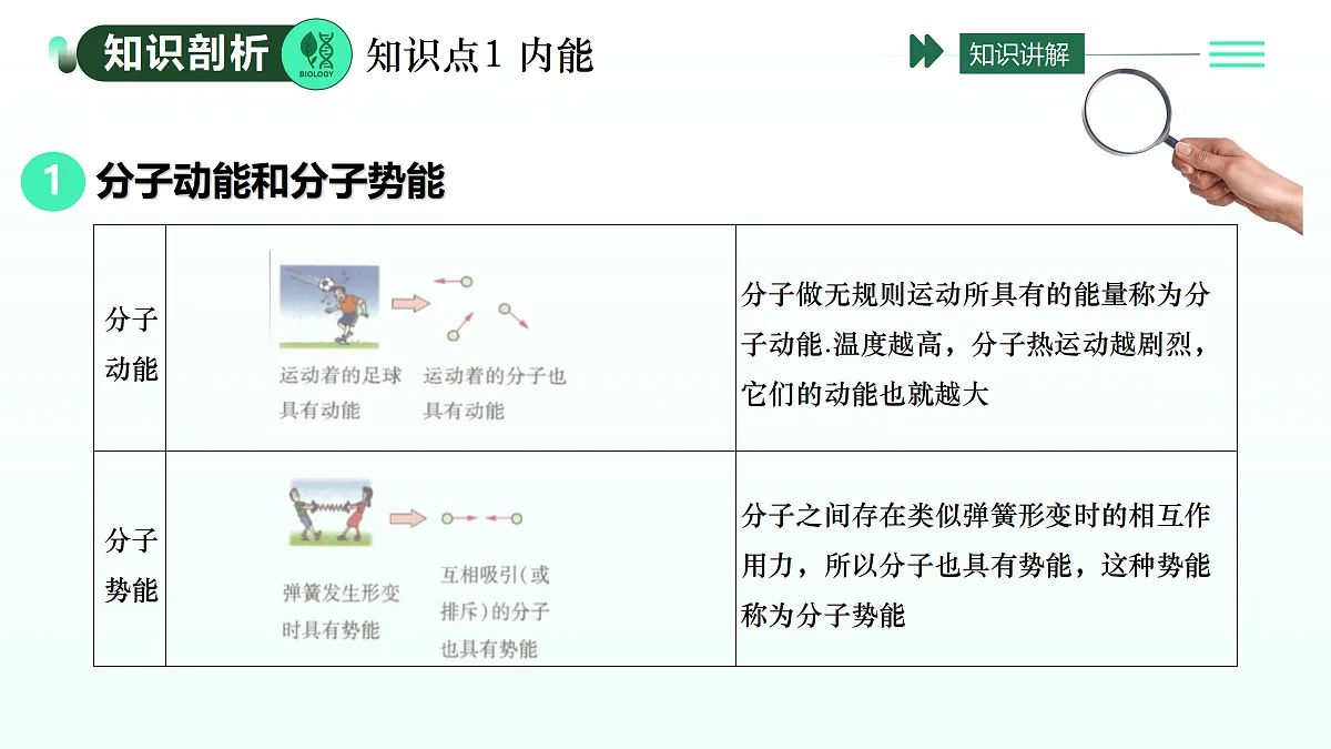 17409141第3页
