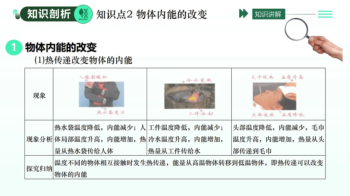17409141第8页