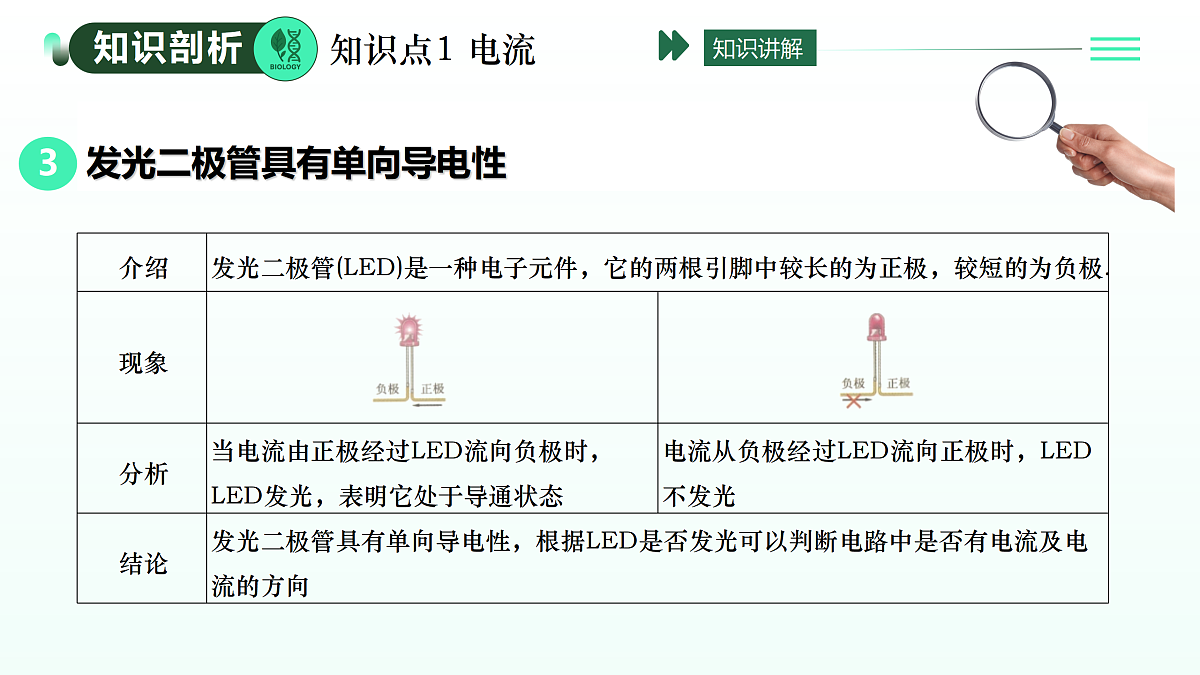 17409146第5页