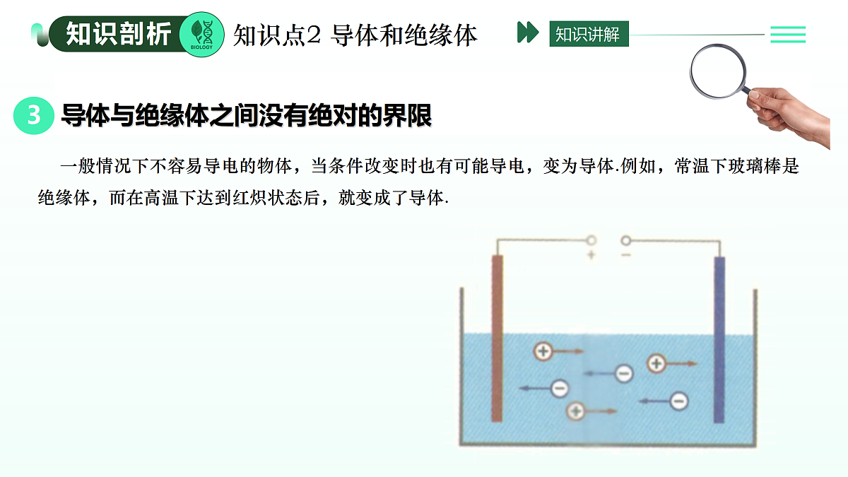 17409146第8页