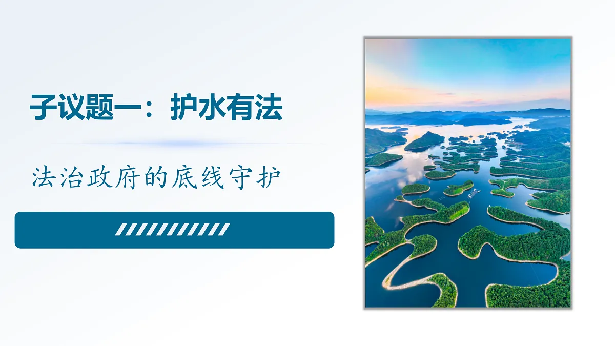 17409367第3页