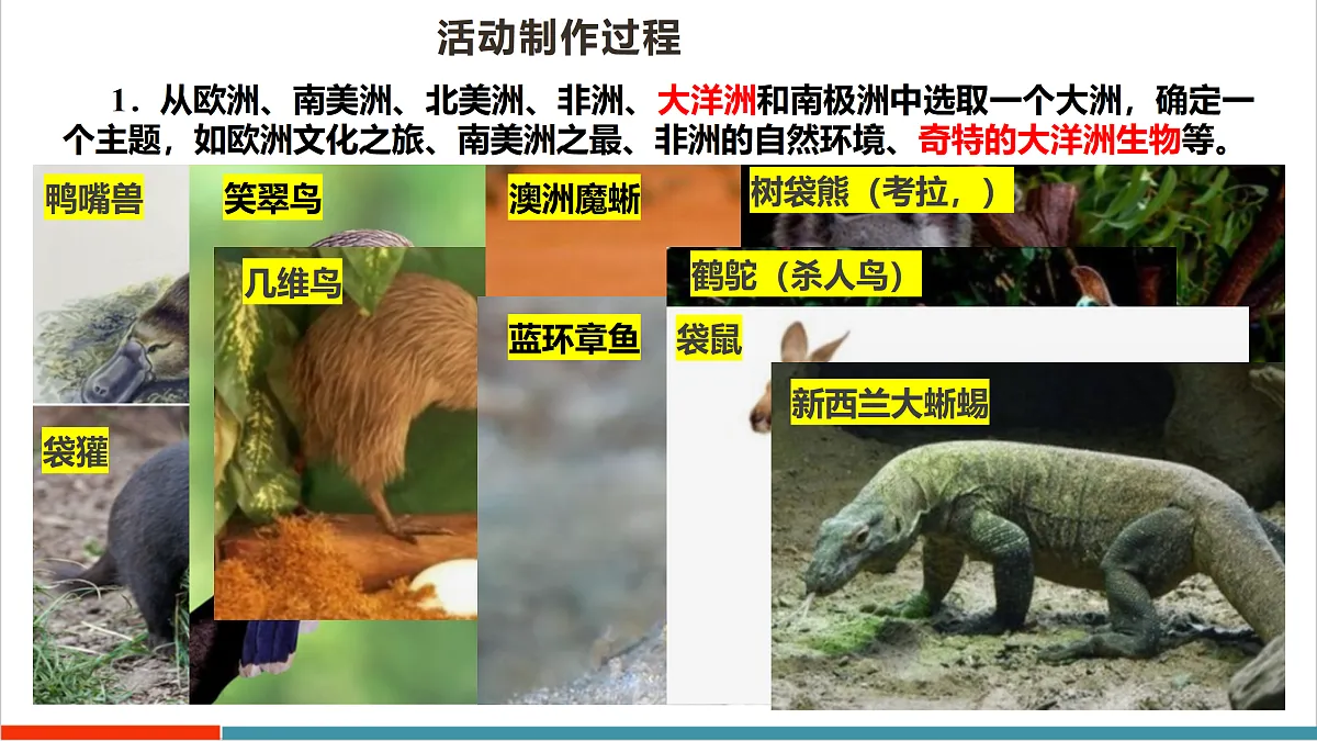 主题学习六 制作大洲的地理手抄报 课件第5页