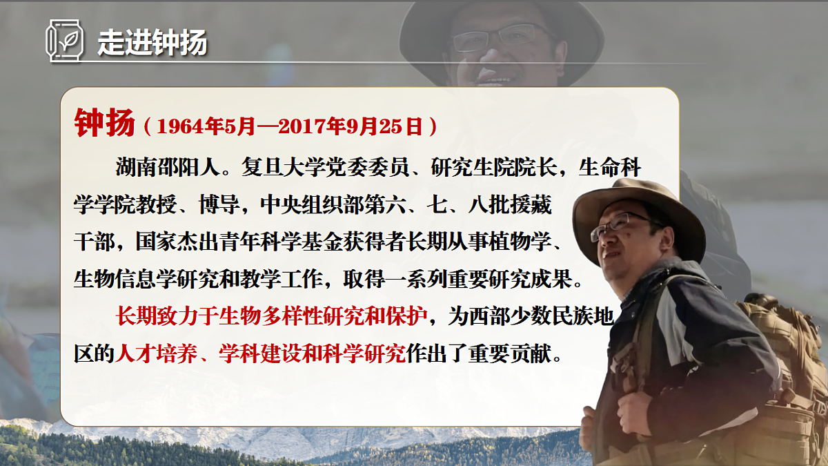 17409512第5页