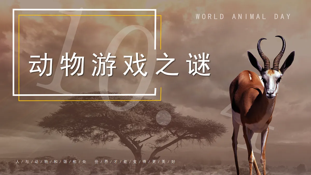 17409545第2页