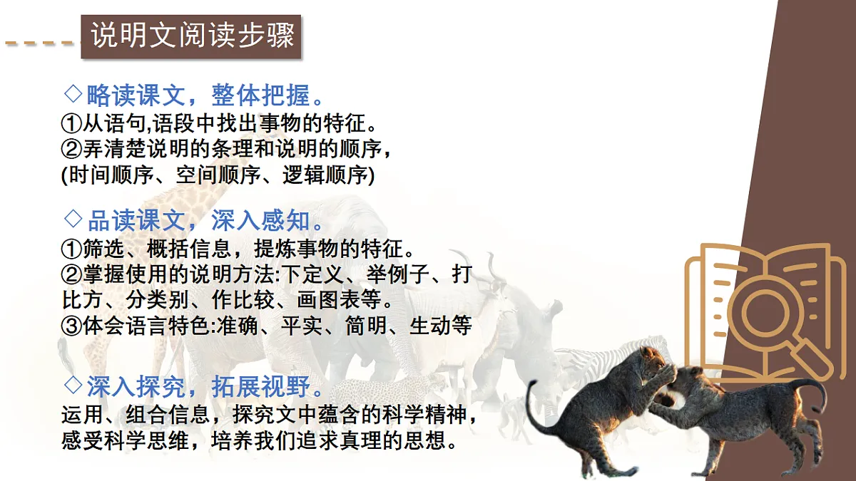 17409545第7页