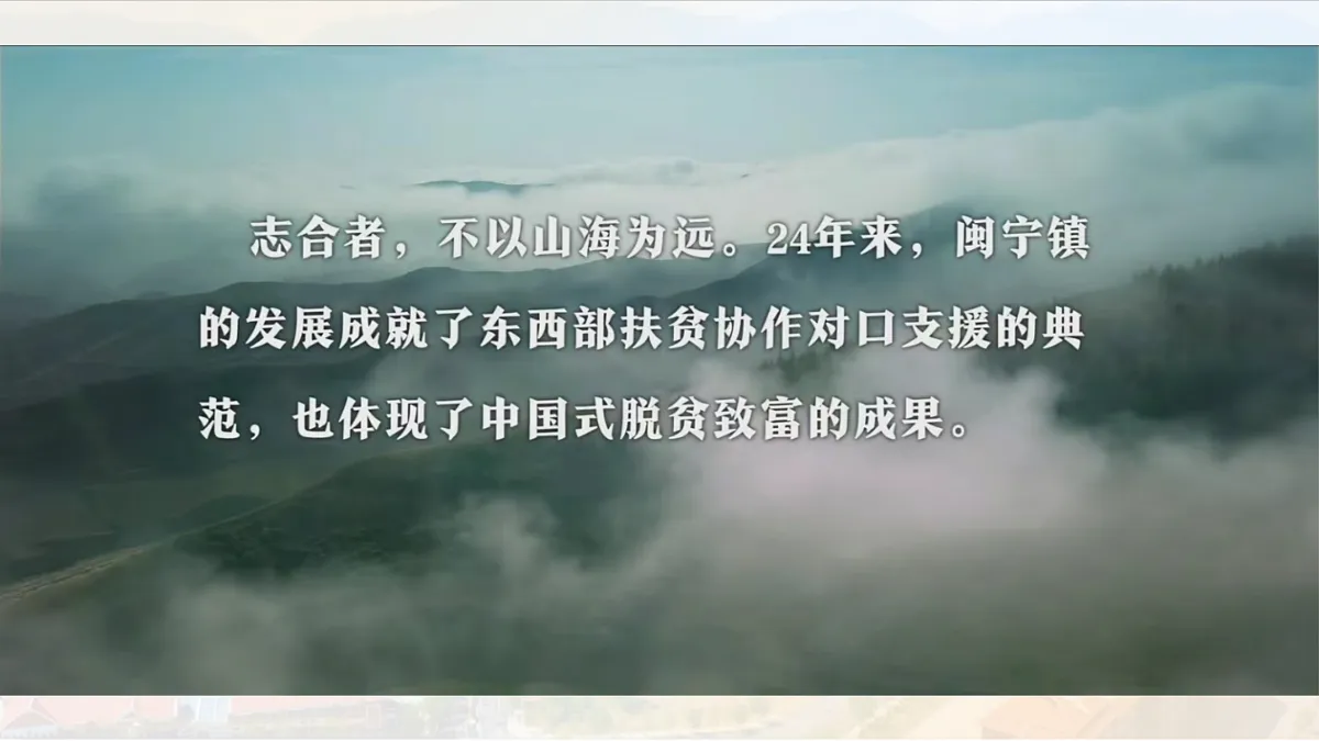 17409624第3页