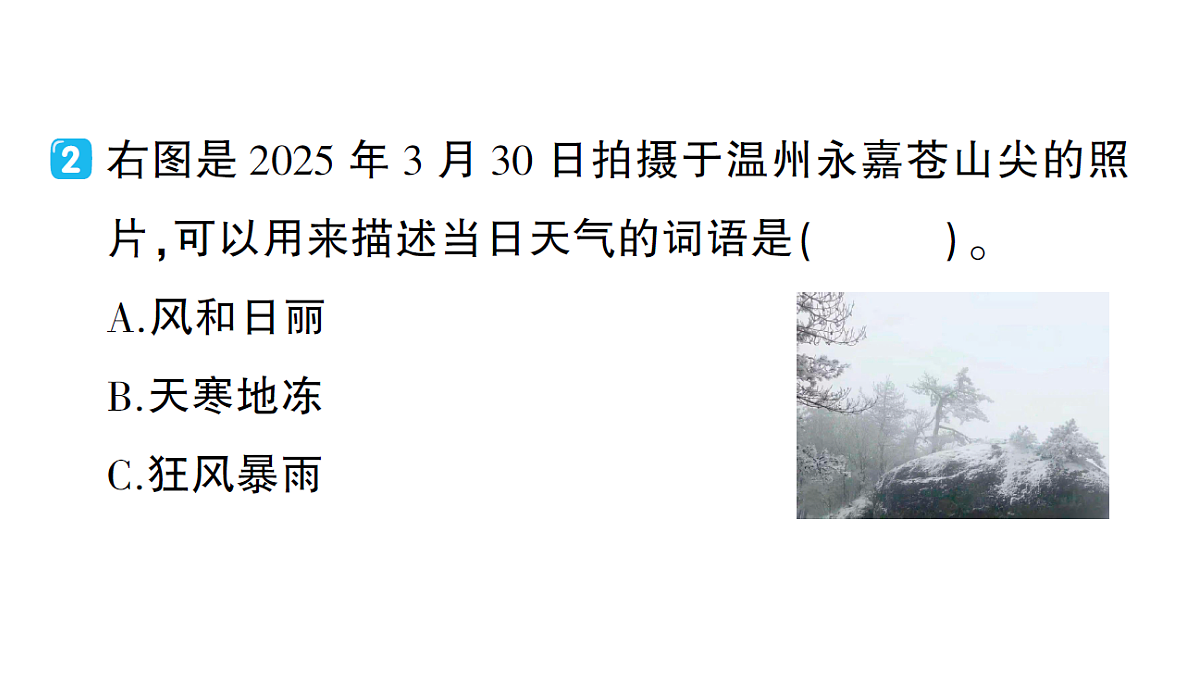 17410884第5页