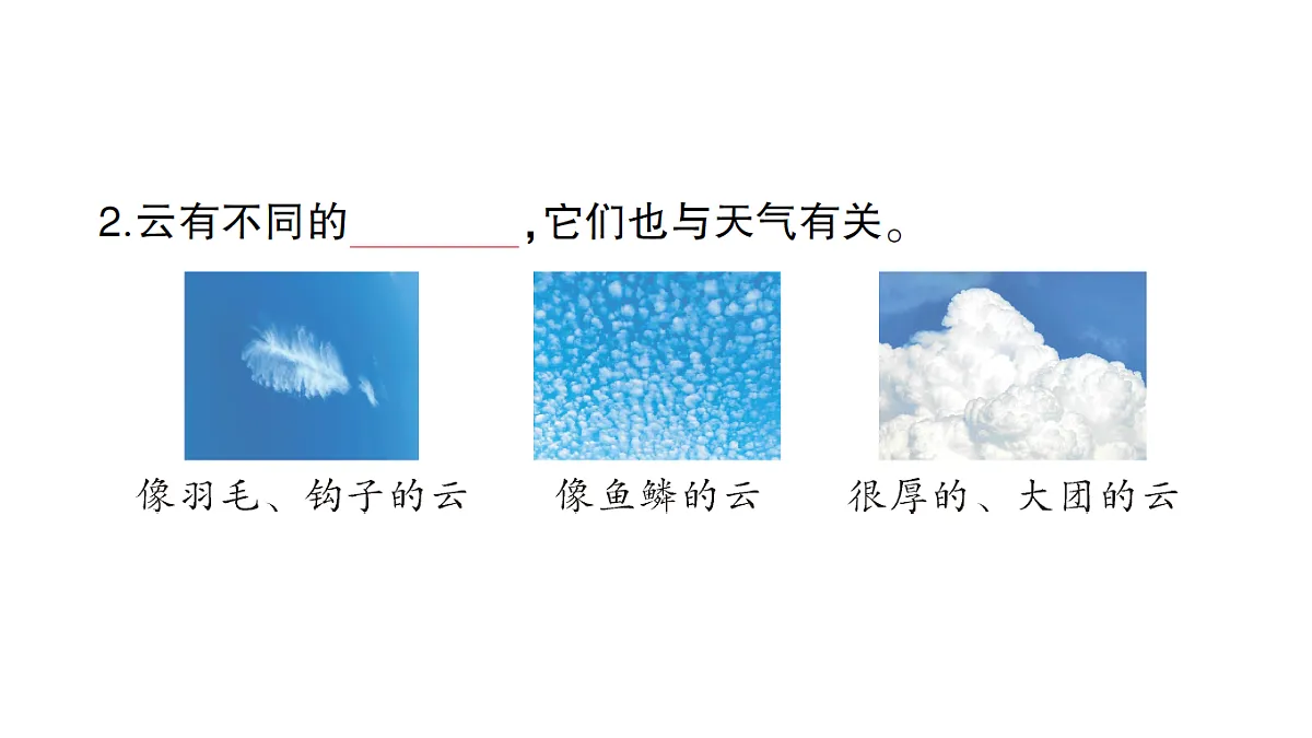 17410889第3页