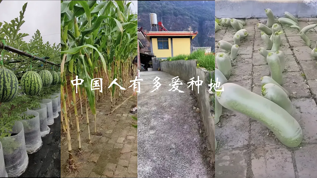 17410945第2页