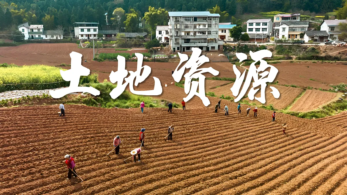 17410945第3页