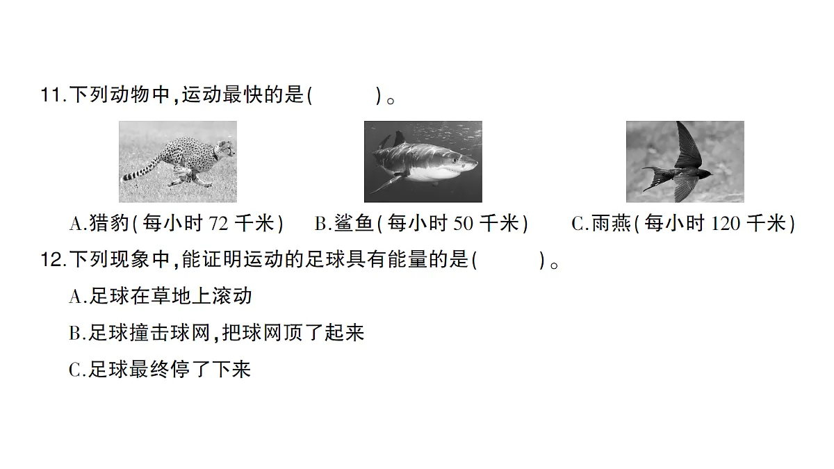 17410982第7页