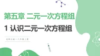 初中数学北师大版(2024)八年级上册(2024)第五章 二元一次方程组1 认识二元一次方程组课文课件ppt