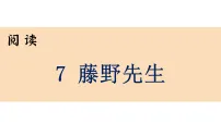 初中人教部编版(2024)第二单元7 藤野先生/鲁迅评课ppt课件