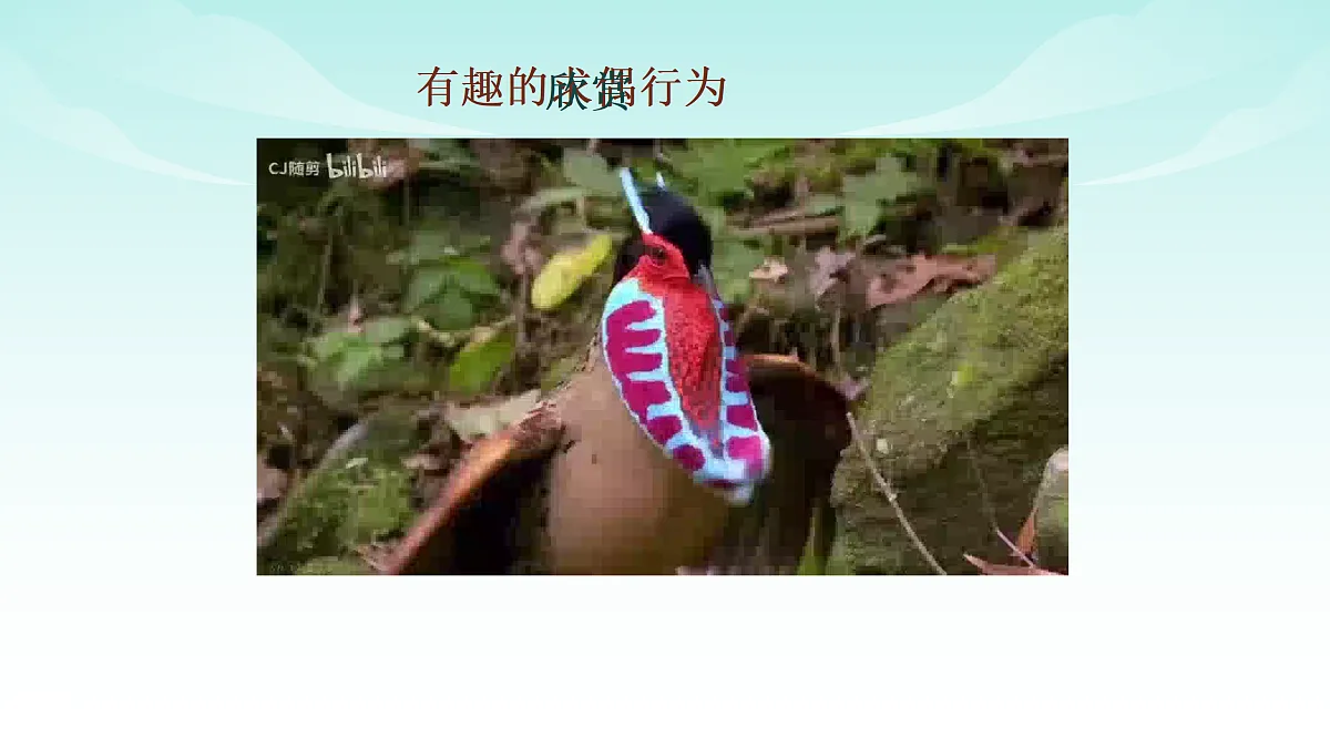 17414297第6页