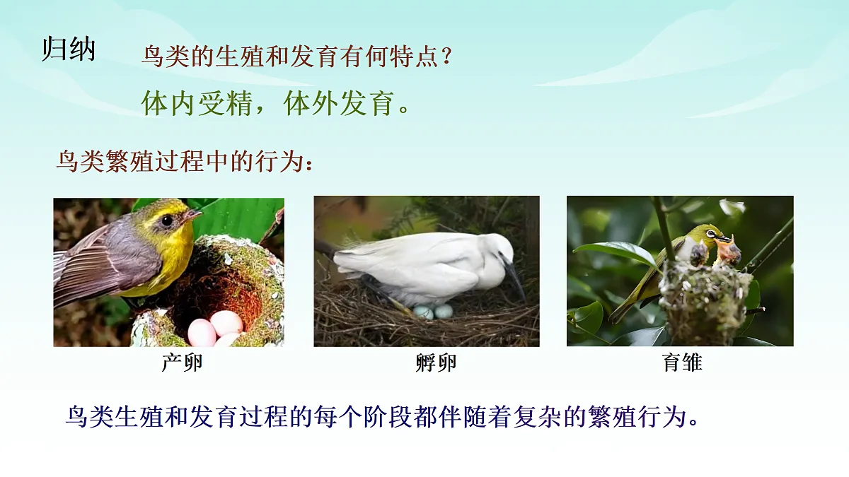 17414297第7页