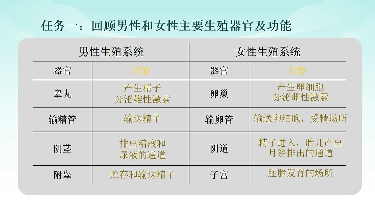 17414298第3页
