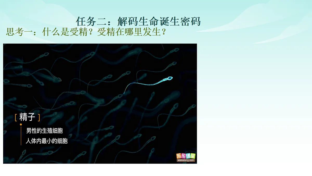 17414298第4页