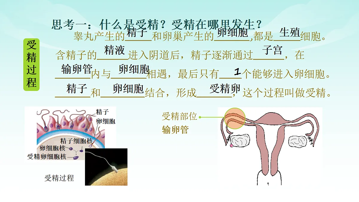 17414298第5页