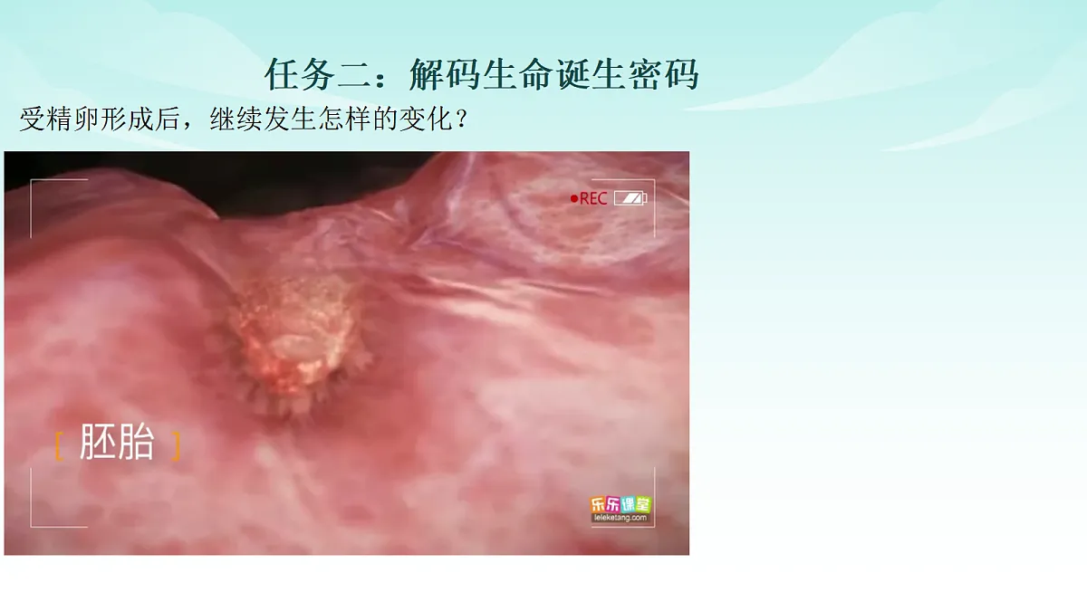 17414298第6页