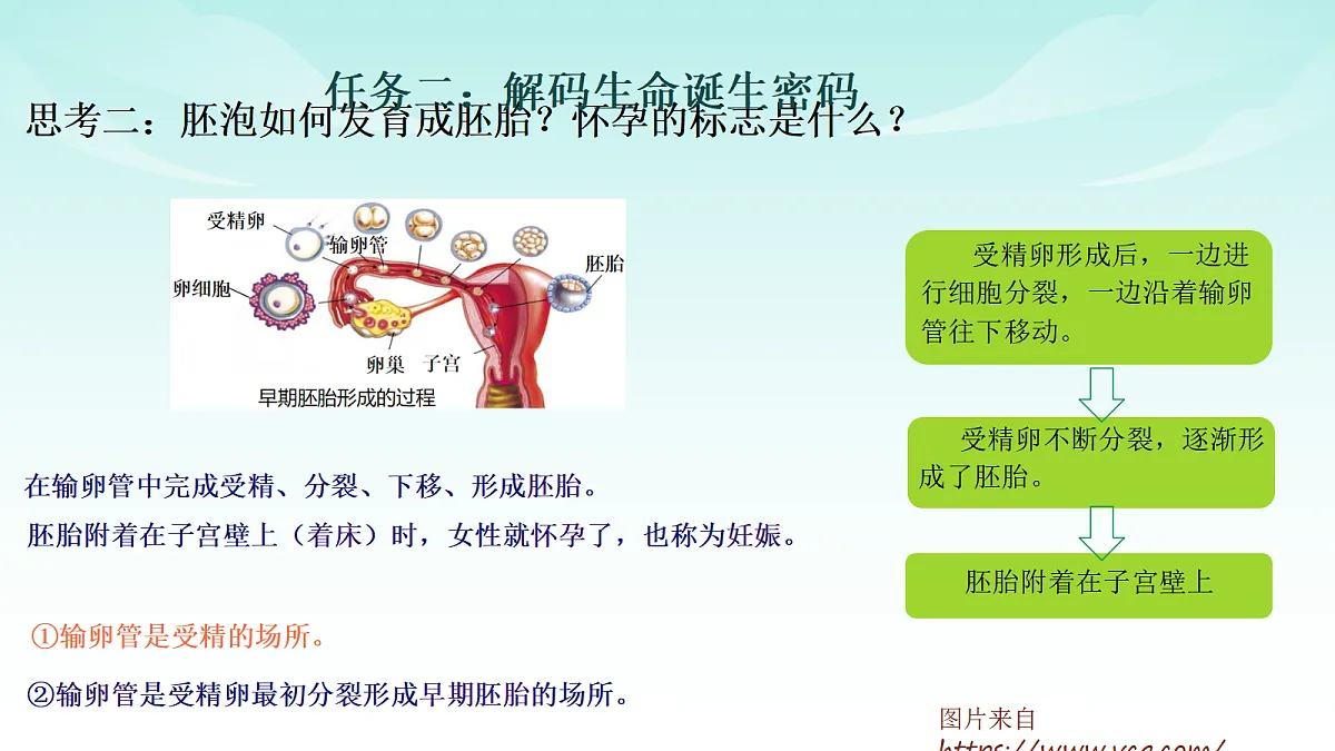17414298第7页