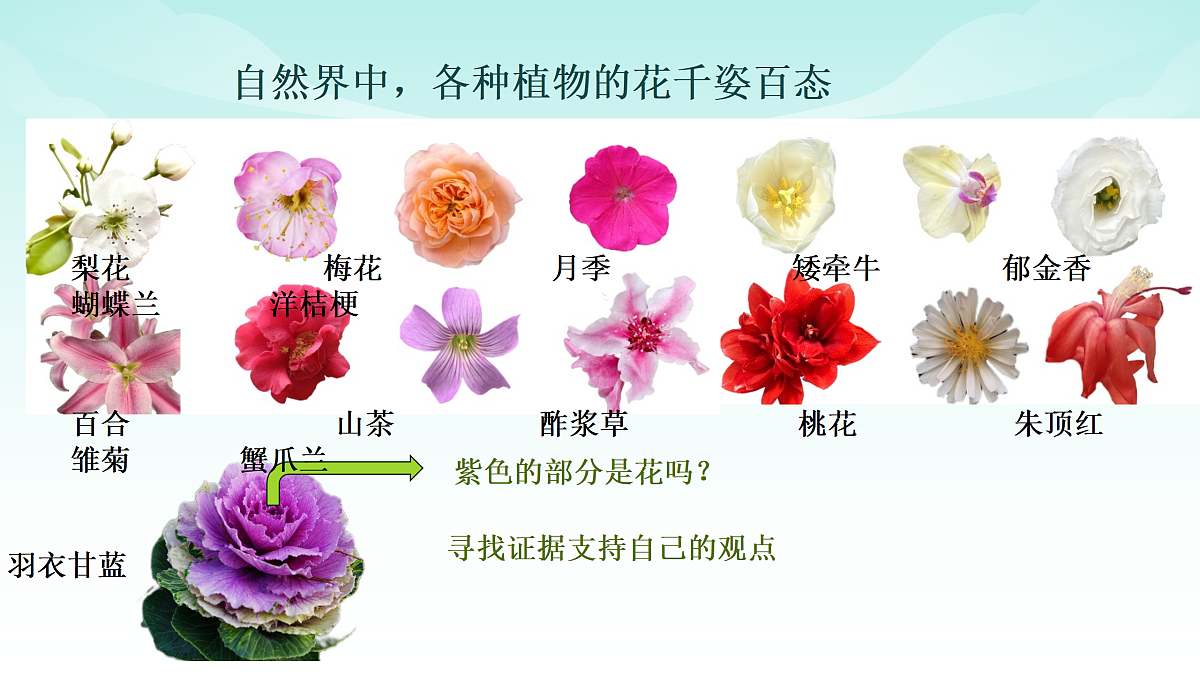 17414303第3页