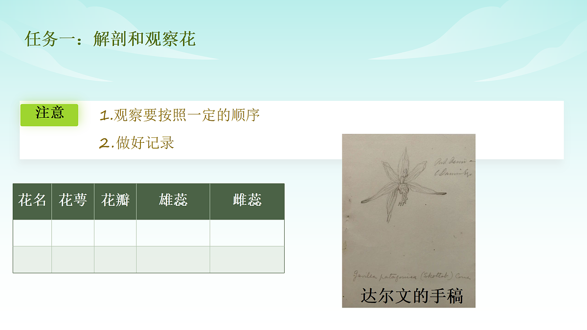 17414303第5页