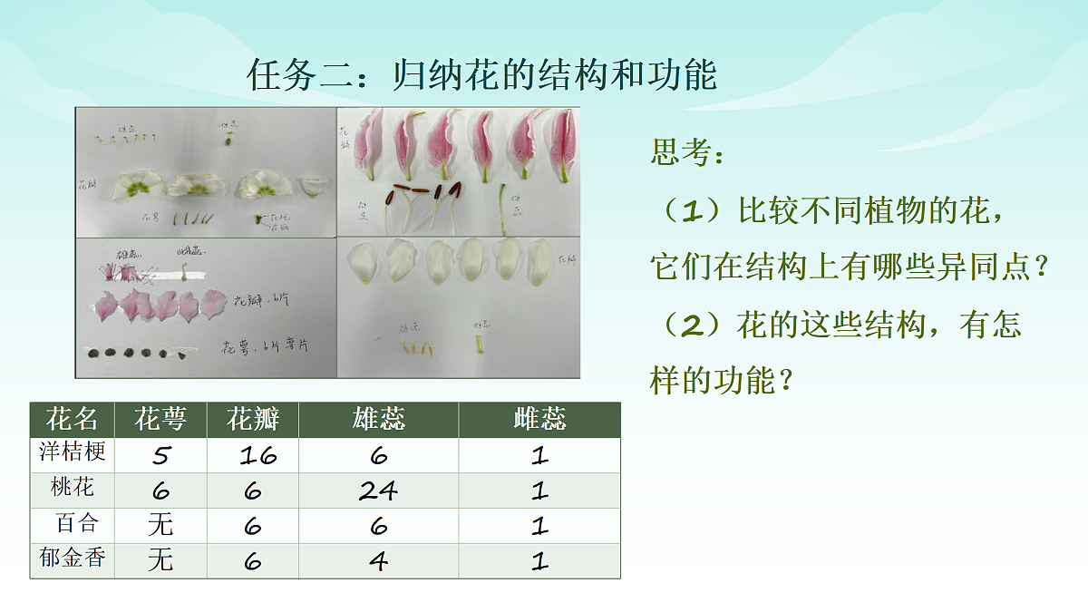 17414303第7页