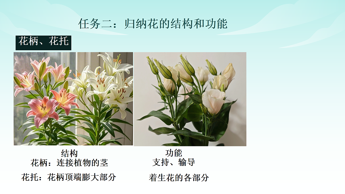 17414303第8页