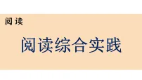 初中语文人教部编版(2024)八年级上册(2024)阅读综合实践图片ppt课件