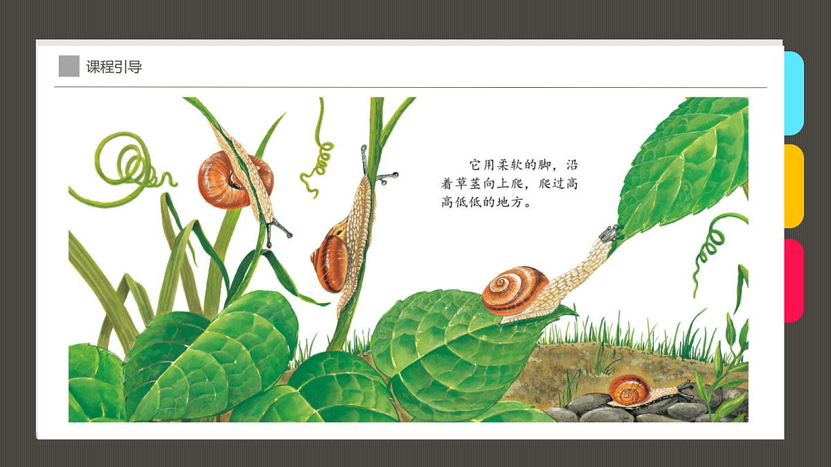 17416253第6页
