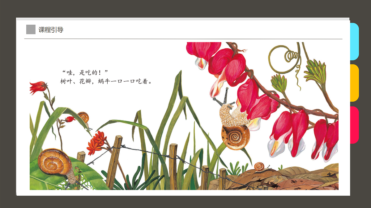 17416253第7页