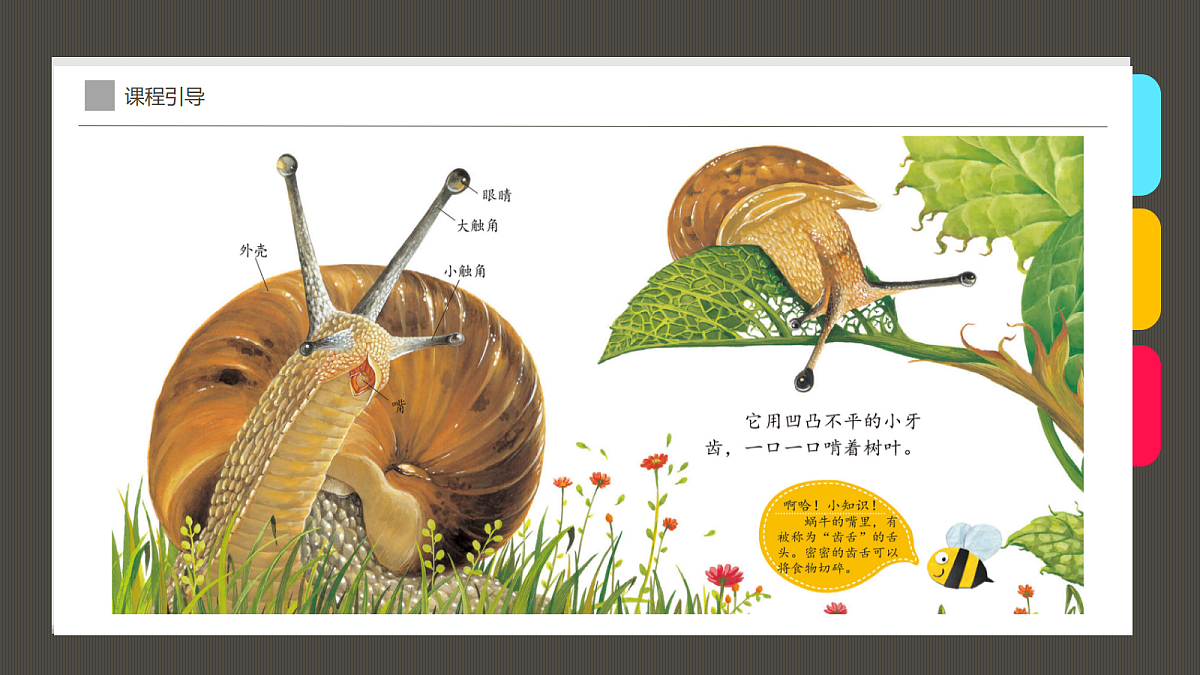 17416253第8页