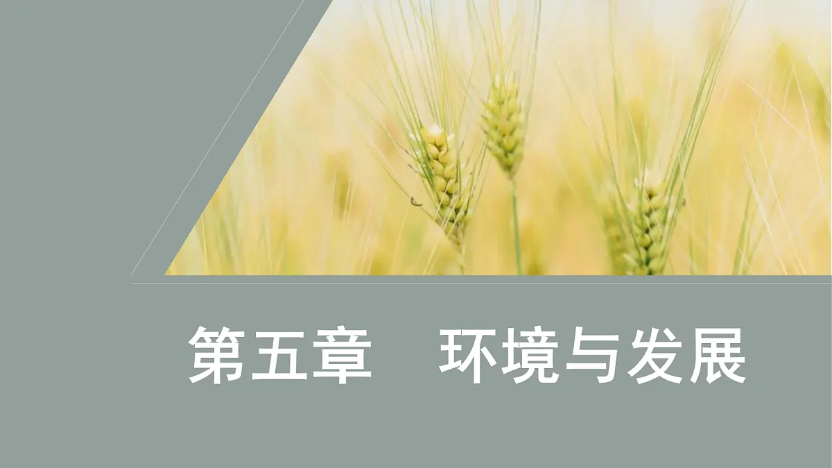 17417491第1页