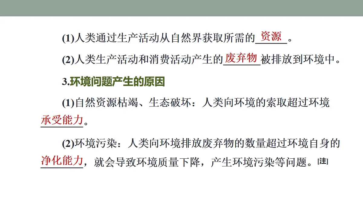 17417491第7页